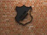 TSG 1899 Hoffenheim Logo-0