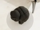 Grumpy Turtle-3