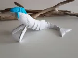 Humpback Whale Flexi-3