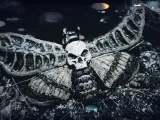 Death Moth-3