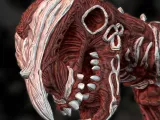 Stalker - Dead space 2-2