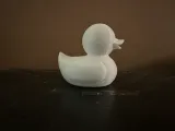 Rubber Ducky-2
