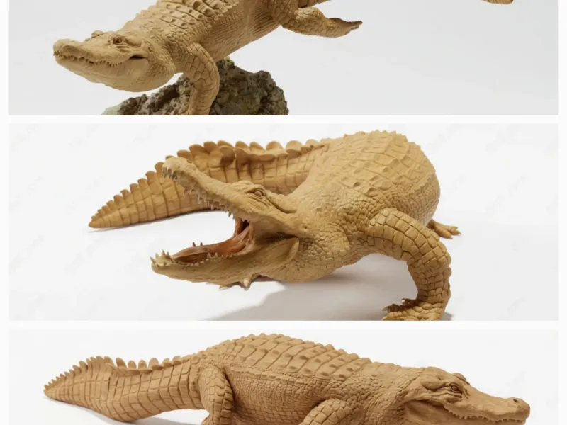 American alligators 3 poses