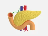 Pancreas, Duodenum and Vascular System - Anatomical Model-3