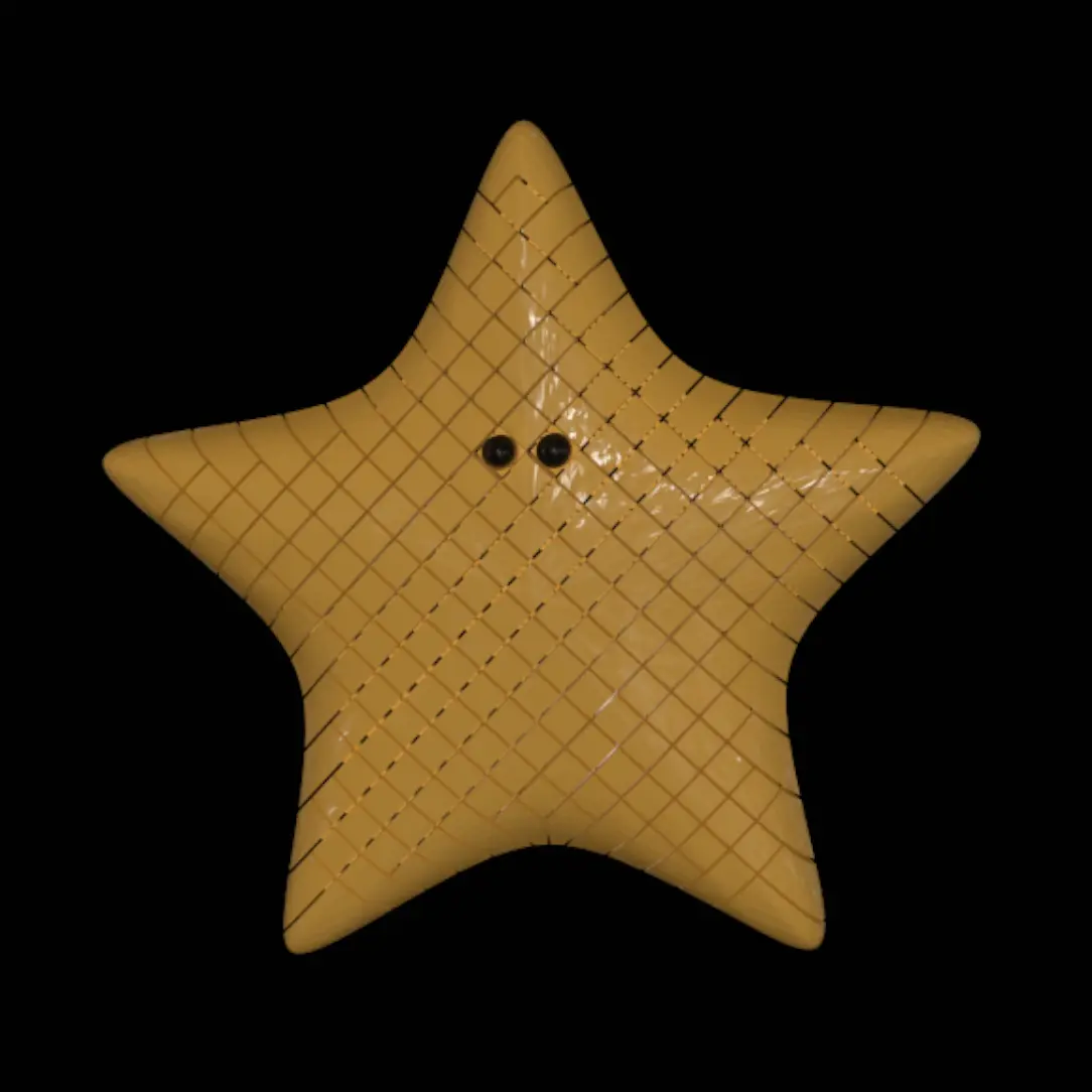 Starfish Fidget 