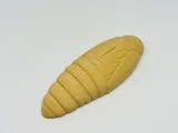 Silkworm Pupa-1