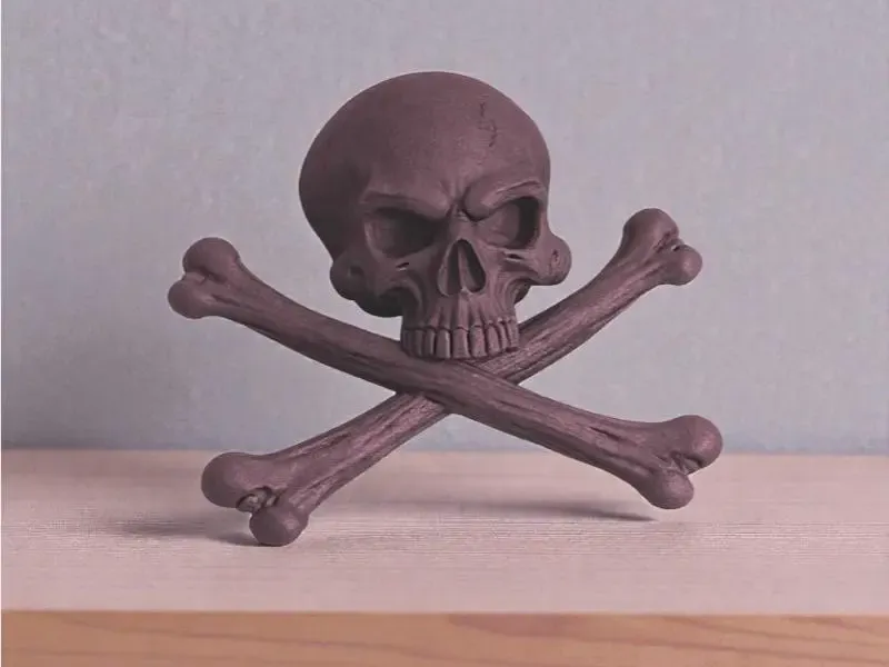 Bones & Skull