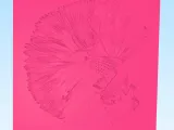 Betta - Canvas Multicolor-2