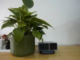 Mini Desk Planter – A Touch of Green, Anywhere, 60-140mm-5
