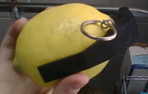 lemon grenade from portal 2