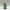 Crypto Garden Gnome