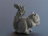 Cute Squirrel eating a Nut-4