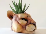 PUMA POT-1