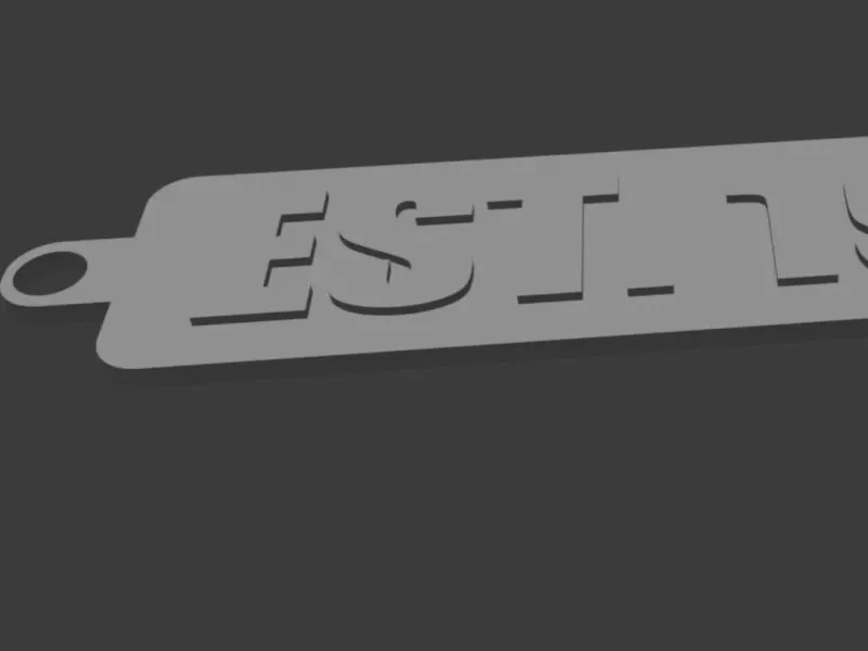 Established in 1990 Keychain