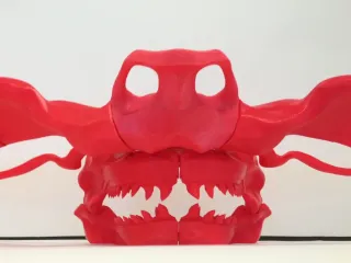 Hammerhead Skull