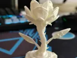 Cyber Rose-3