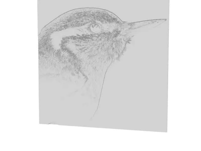 Bird Lithopane 