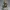 Freya Frostmark – Northern Huntress Edition