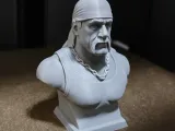 Hulk Hogan (Memory Bust)-0