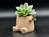 Sprouting Tree Stump Magnetic Planter-1