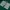 zander shad softbait mold