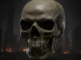 BAD HUMAN SKULL-0