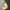 Poly-Lamp Shade V6