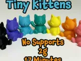 Tiny Kittens-0