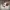 KUROMI MEZZO TESCHIO FUNKO POP