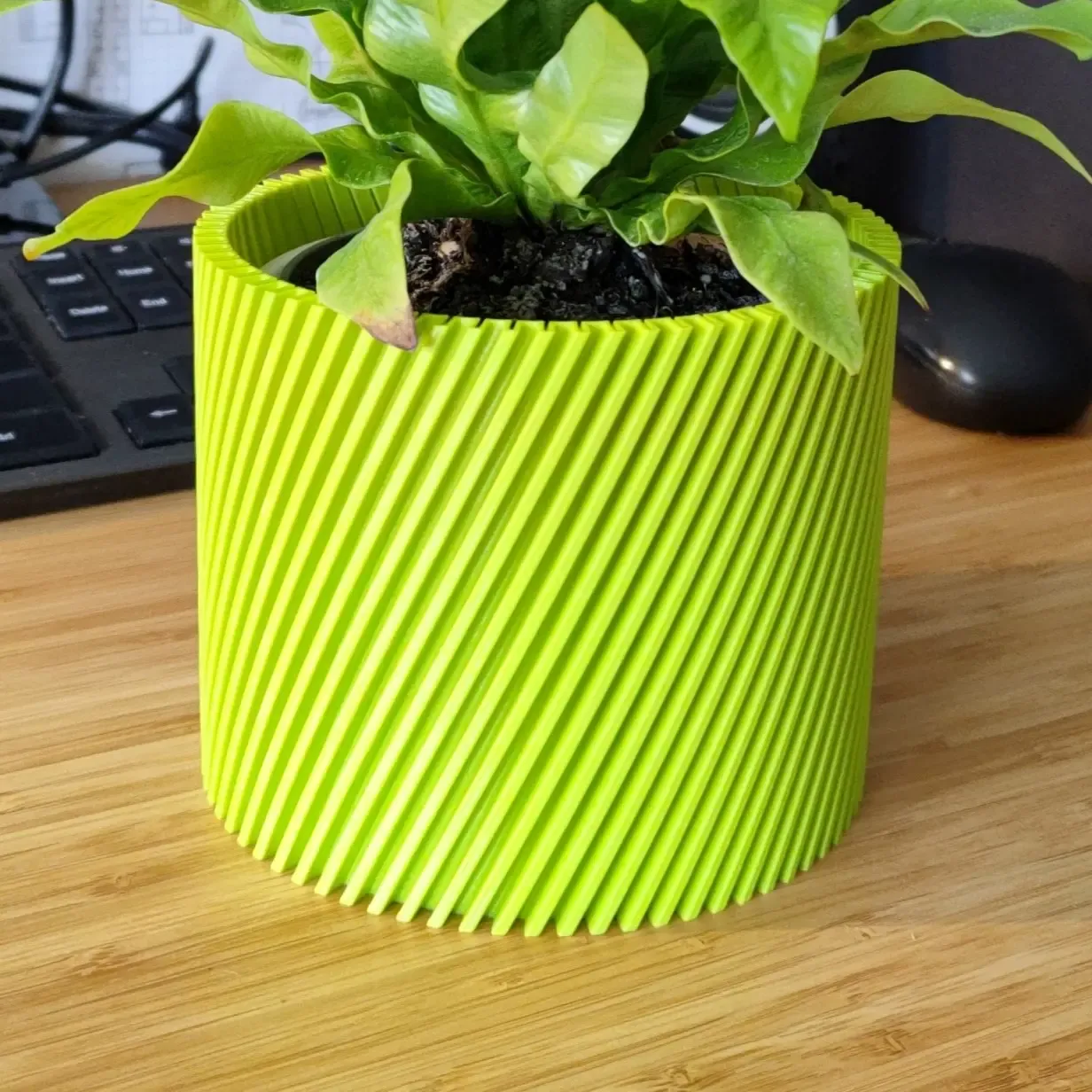 Spiral Plant pot and Planter - Vase mode design
