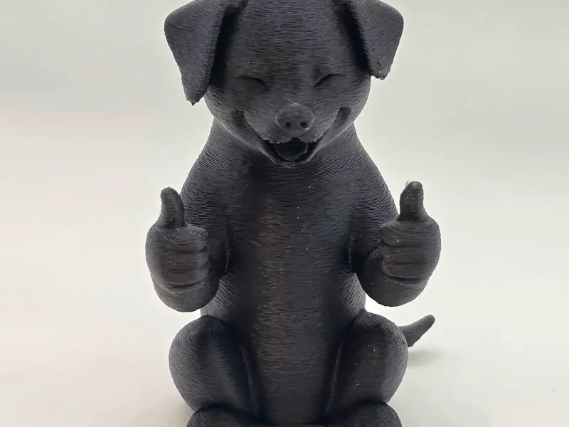 Good Dog