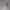 Bottle marker / Flaschenmarkierung - Party Marker -R