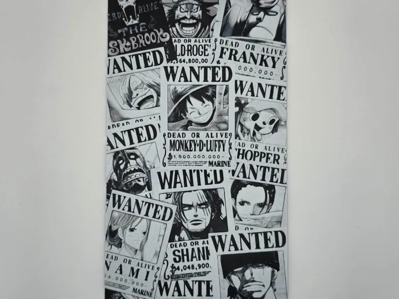 One piece Wanted