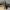Detaillierte spartanische Kriegerfigur mit Schild und Dolch