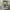 Funko Pop Dentista Men