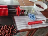 Rollball boilies-1