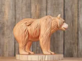 Bear-0