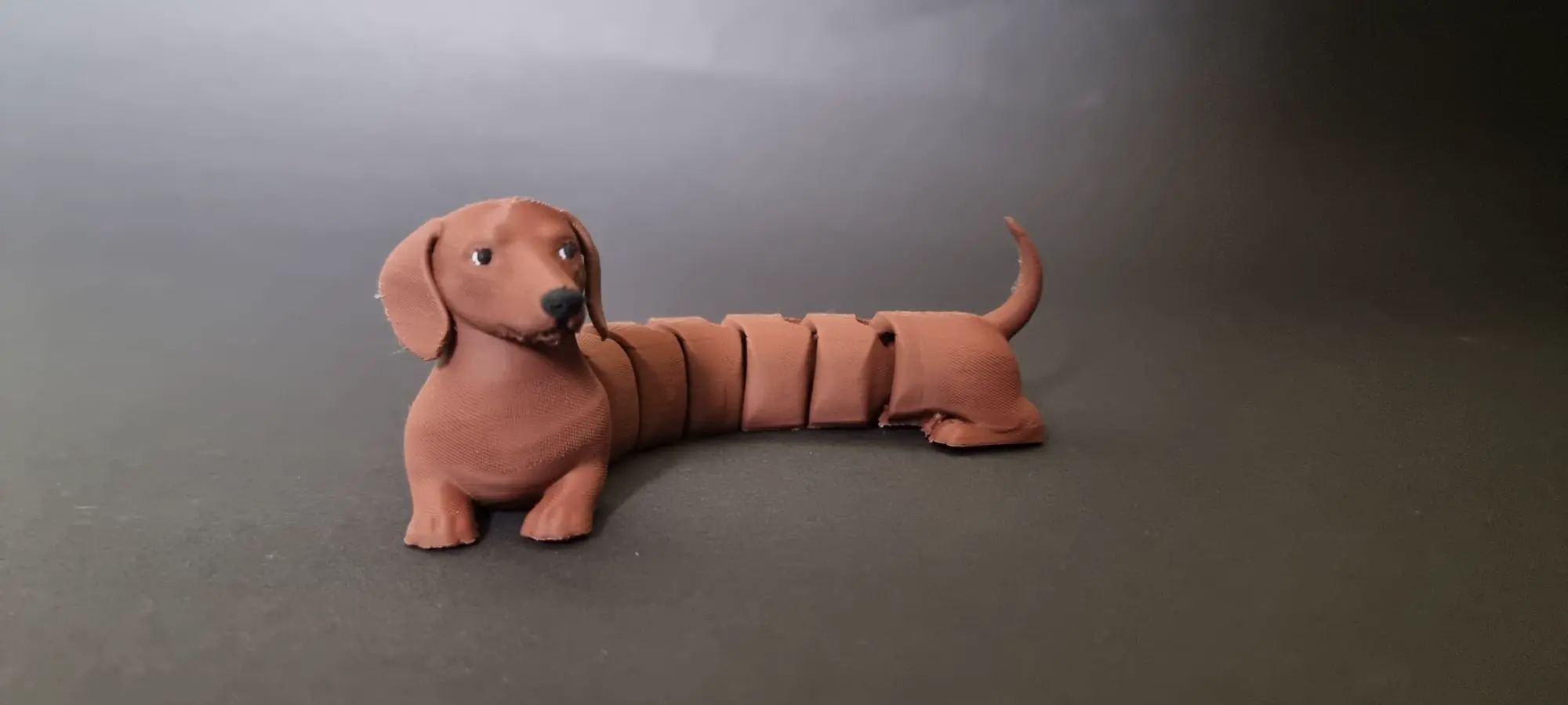 Articulated dachshund flexi multi color