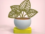 Decorative Plant-2