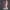 Eternal Rose Lovers Sculpture – Noah0x03