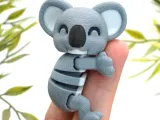 Magnetic Koala-1