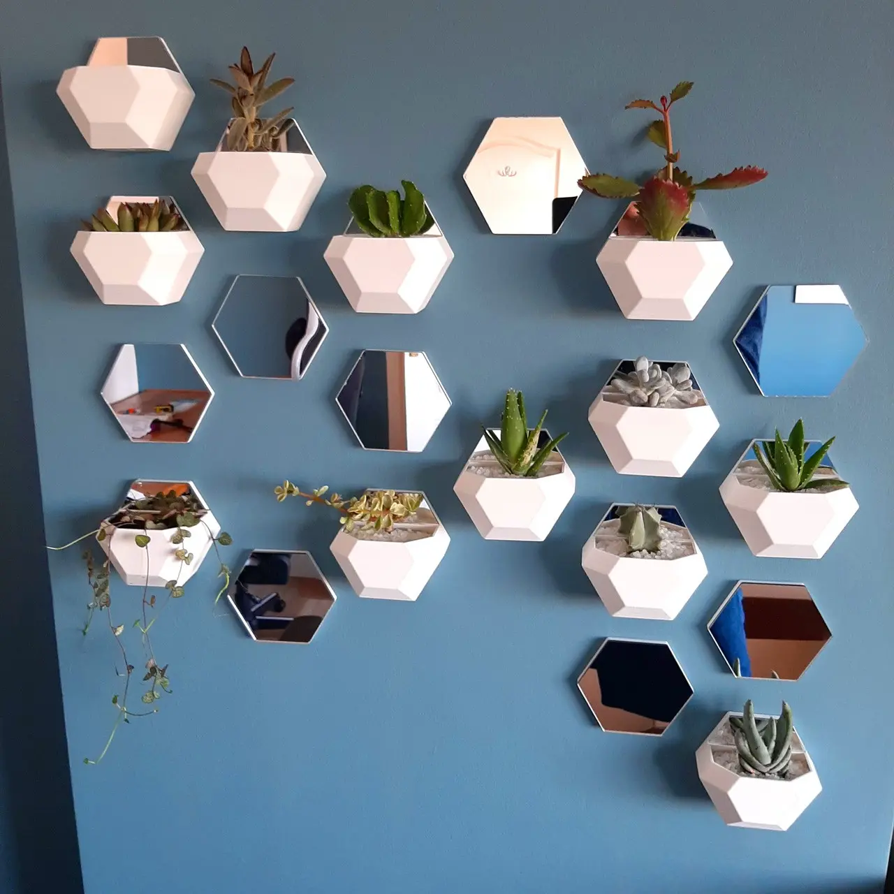 hex wall hanging planters