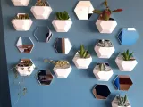 Sechseckige Wand-Hängepflanzgefäße-0