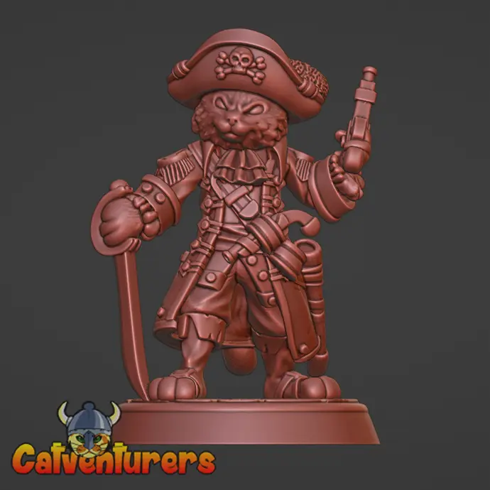 Pirate Captain Cat