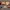 Board Game resources, Food-Grain, Pumpkin, Wood, Metal-Iron,