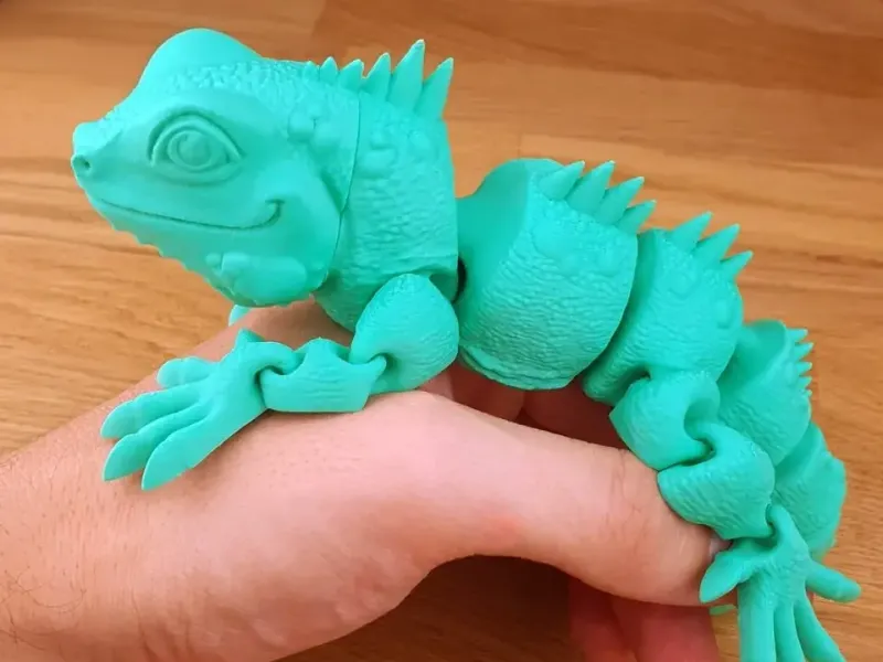 Iguana