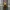 Kuiil minifigure star wars custom