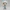 Chibi Friendly Doctor – Healthcare Hero Mini Figurine