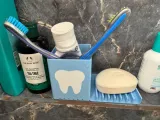 Toothbrush and Soap Holder-2