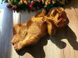 Dog on back-1